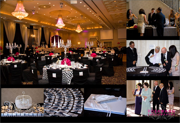 Wedding Photography Etobicoke